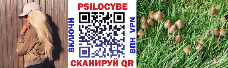 Псилоцибиновые грибы прущие грибы  Котово 